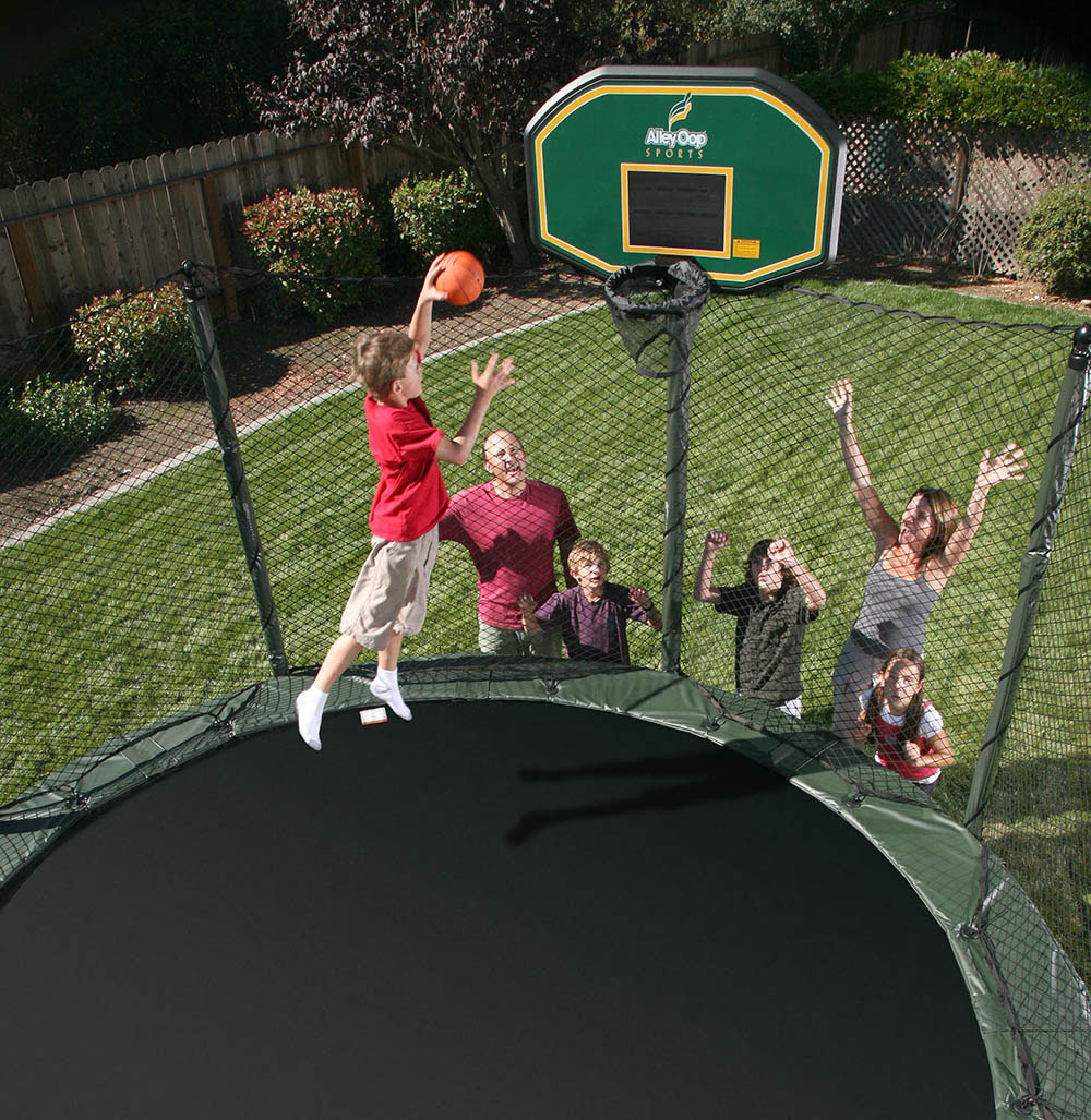 AlleyOop Basetball | Swingset & Toy