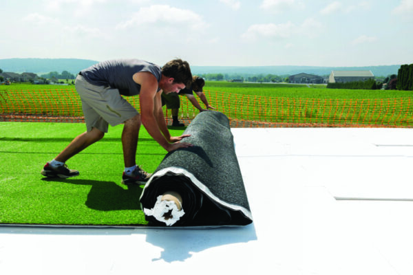 Artificial Turf