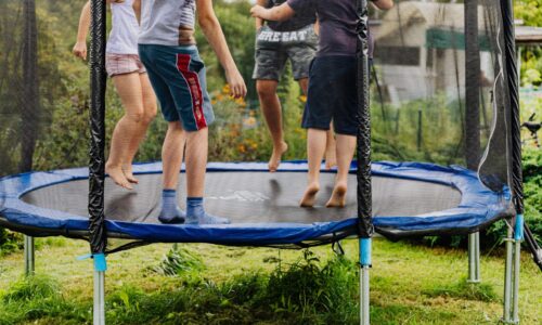 Backyard trampoline with a net